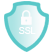 Increase your sale using SSL icon