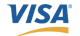 VISA_logo_icon